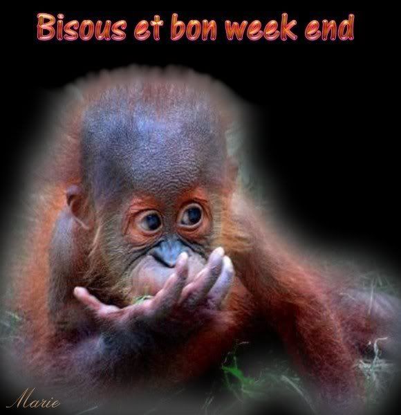 bisousetbw.jpg picture by mariedunord