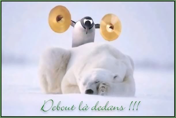 debout.jpg picture by mariedunord