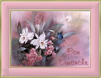 dimanche3.jpg picture by mariedunord