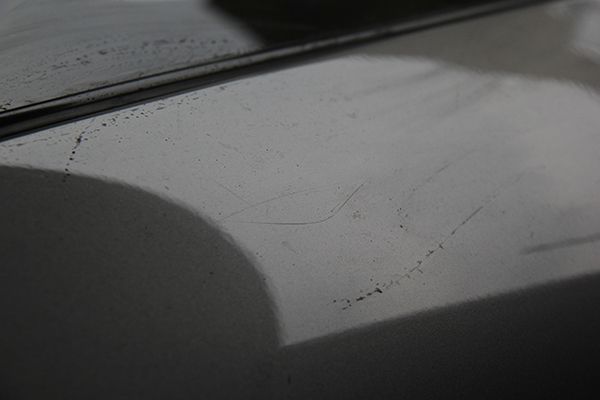 IMG_8384.jpg