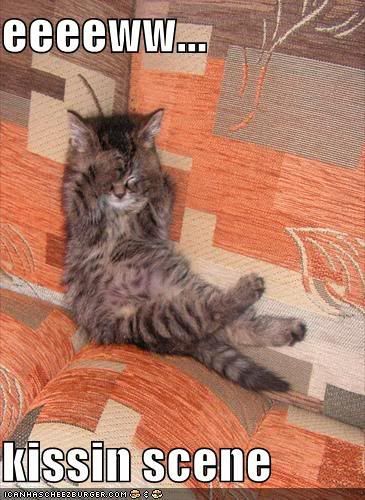 funny-pictures-prude-kitten.jpg