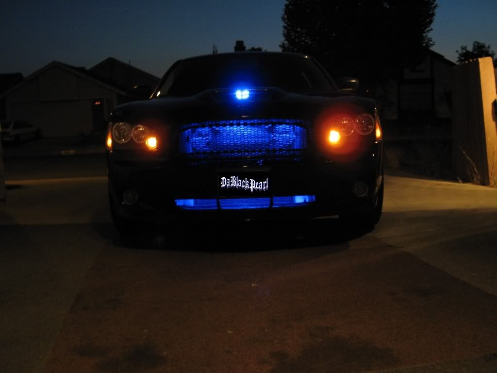 Posted Image