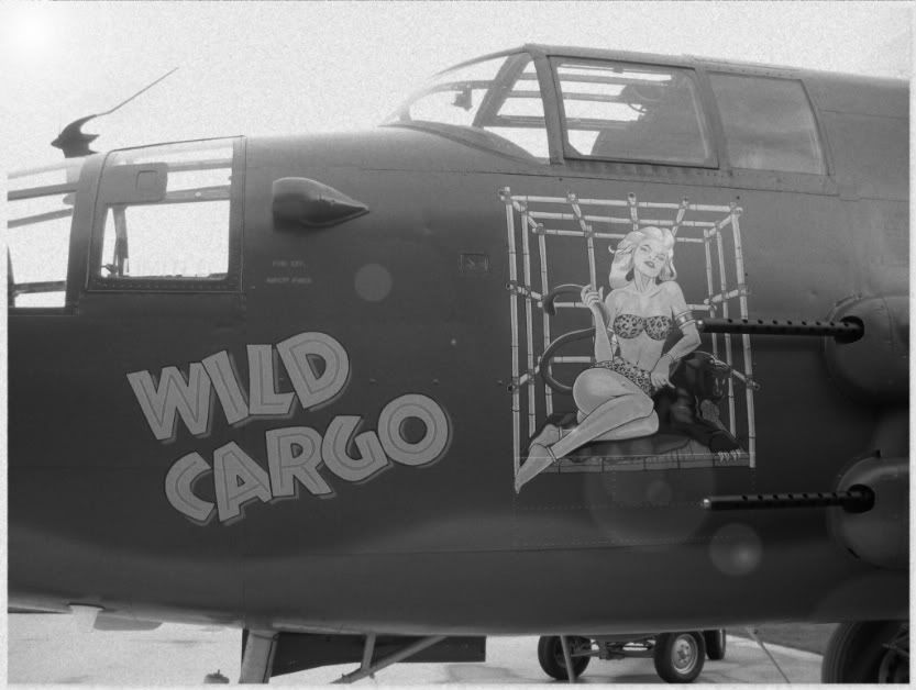 VBAirshow4.jpg