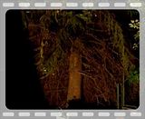 Random021.flv video by bcmaxx