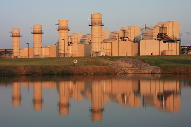 IMAGE: http://i232.photobucket.com/albums/ee113/sapperwhite/IMG_1030.jpg