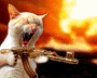 scared cats  photo: cats aint scared s_d953c9164828cef74d77fb41932898d9.gif