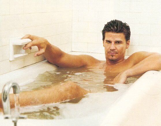 david boreanaz Pictures, Images and Photos