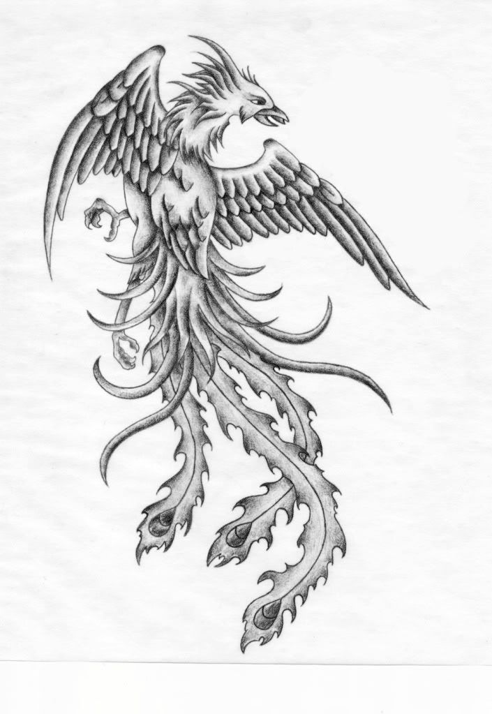 phoeniximagejpg Phoenix Tattoo