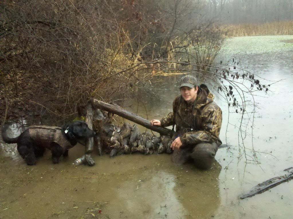 Lake Guntersville Duck Report Duck Hunting