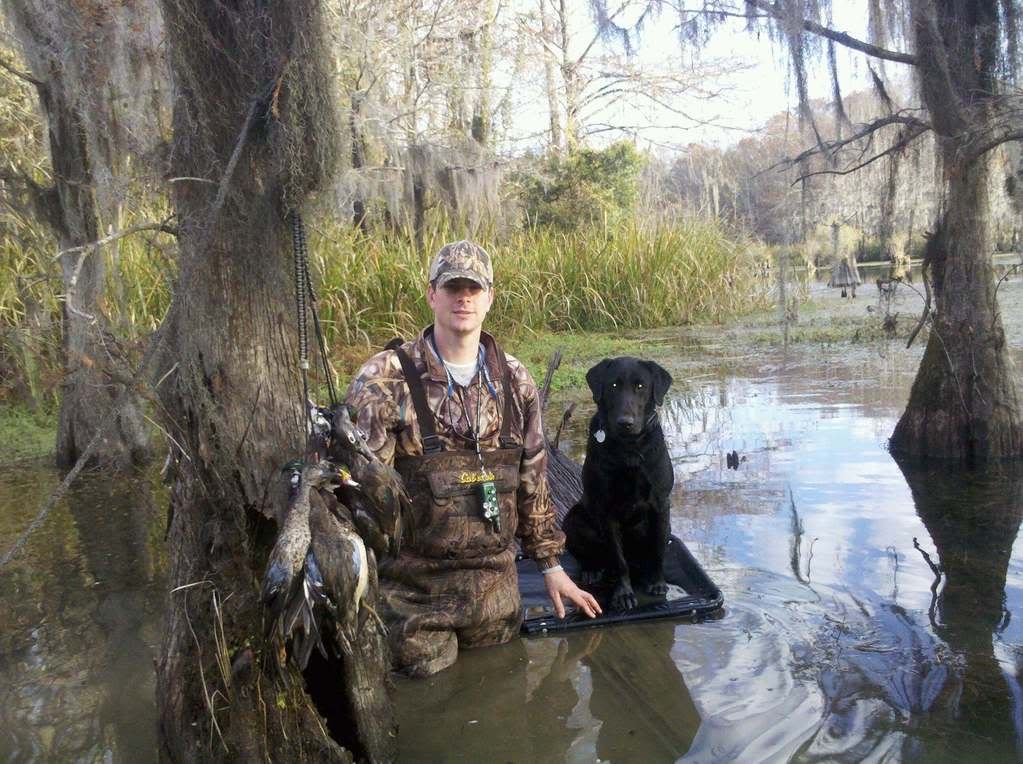 Lake Guntersville Duck Report Duck Hunting