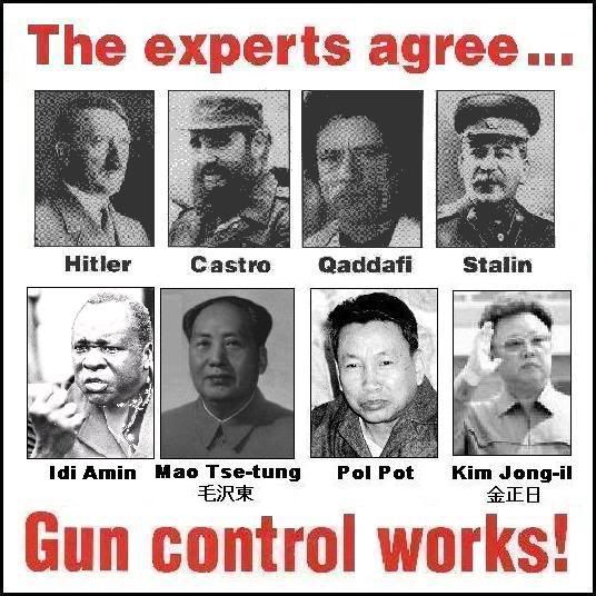 gun_control_works21.jpg