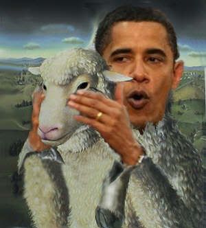Wolf In Sheep's Clothing Pictures, Images and Photos