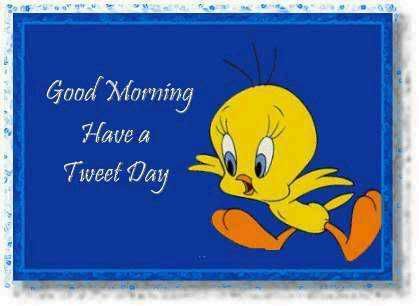 good morning have a tweety day Pictures, Images and Photos