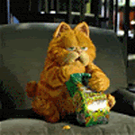 Garfield Pictures, Images and Photos