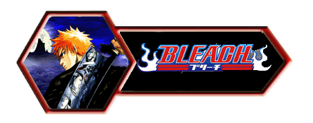 Bleach