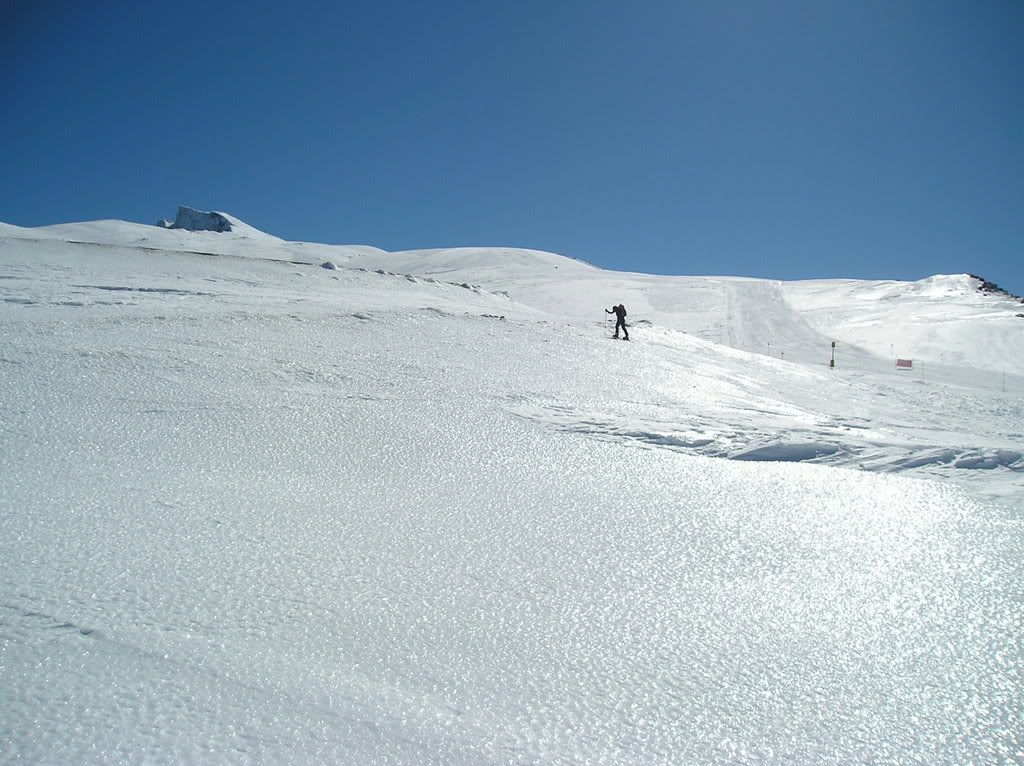 Sierranevada15al20feb09003.jpg