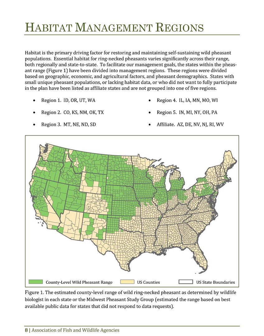 National Wild Pheasant Conservation Plan The Outdoor