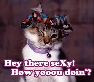 How are you doing sex