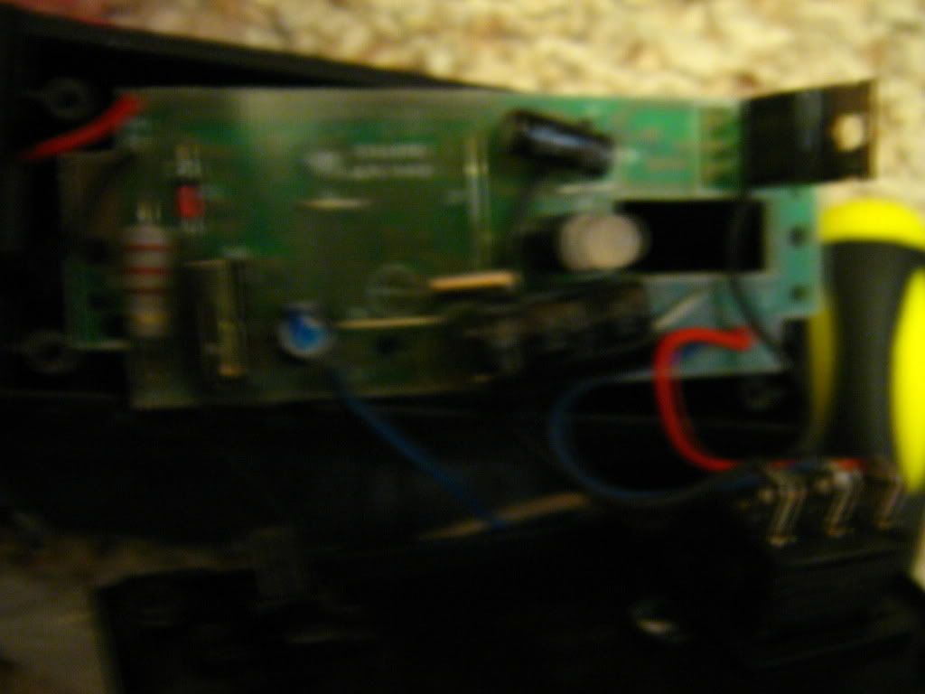 IMG 4547