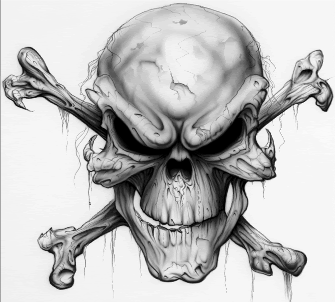 bones of skull. Skull n one