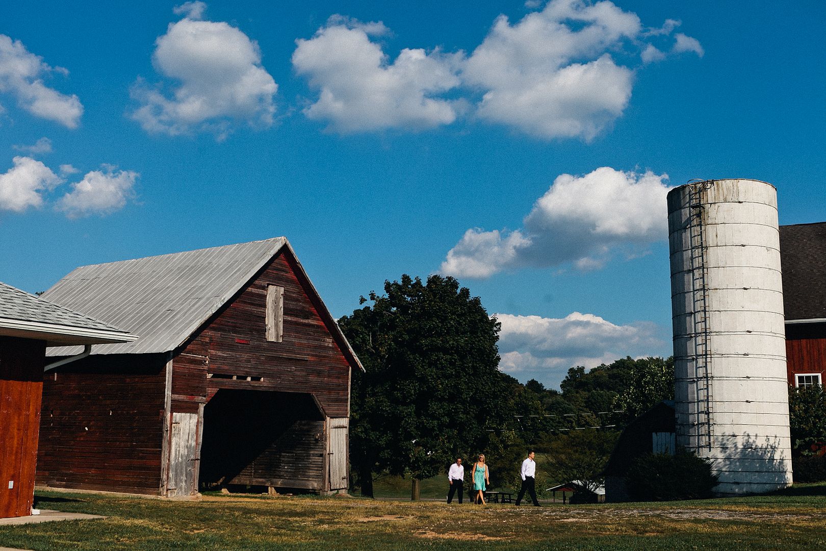  photo erica_eric_linganore_winery_vineyard_wedding_carnival_wedding_im_kristen_photography_maryland20of146jpgoriginal.jpeg