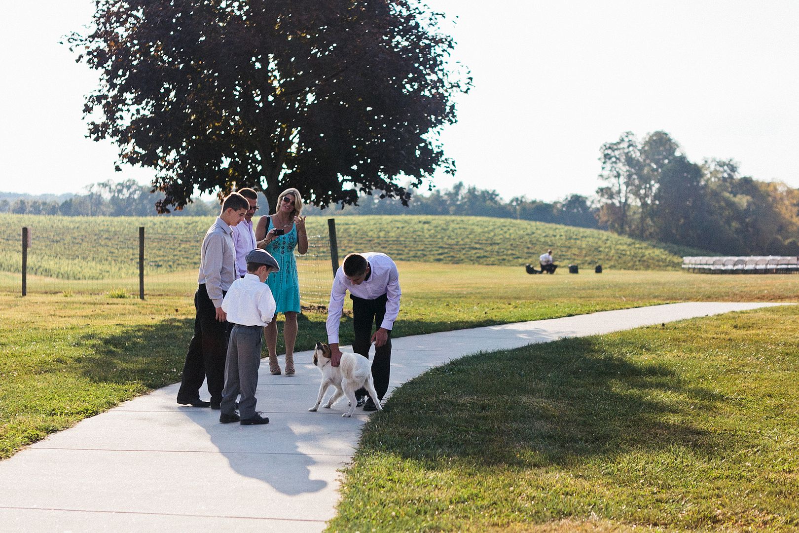  photo erica_eric_linganore_winery_vineyard_wedding_carnival_wedding_im_kristen_photography_maryland38of146.jpg