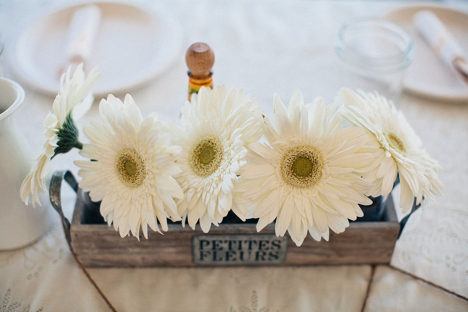 photo lisa_alan_billingsley_house_wedding_photography_im_kristen_maryland173of216.jpg