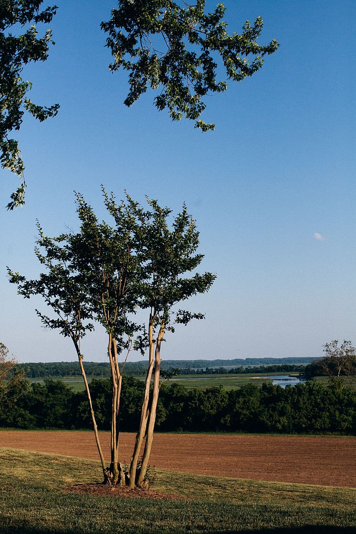  photo lisa_alan_billingsley_house_wedding_photography_im_kristen_maryland179of216.jpg