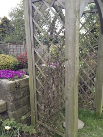 http://i232.photobucket.com/albums/ee192/thebear843/Garden/file_zpsfdb196db.jpg
