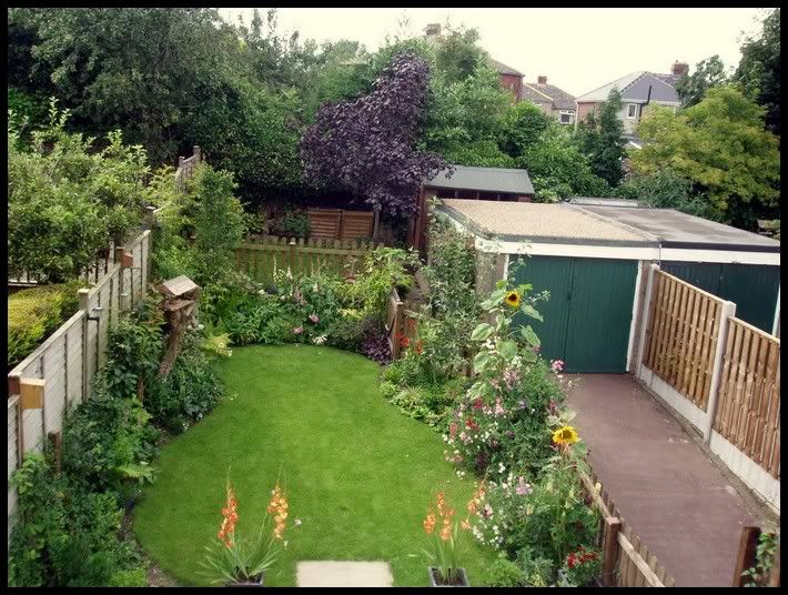 What to do!! - Page 3 — BBC Gardeners' World Magazine