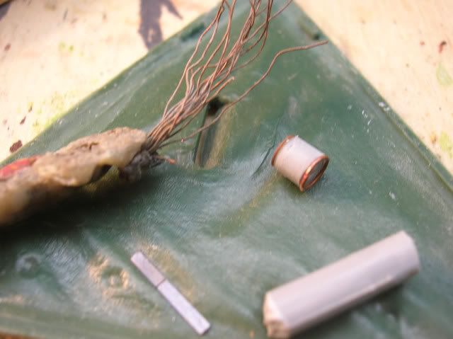 DSCN31830001.jpg