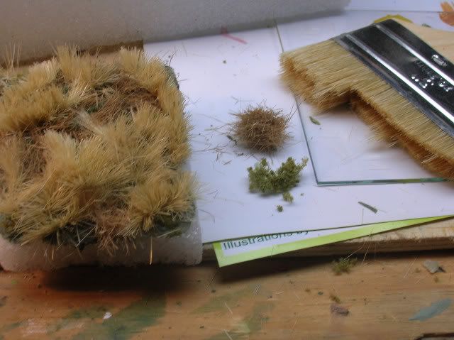 DSCN33730001.jpg