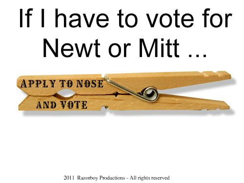 Clothespin Vote