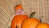 Pumpkin anyone
