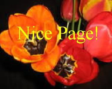 Nice Page Friends