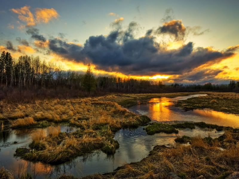 Bulut Resimleri (2. Katalog)