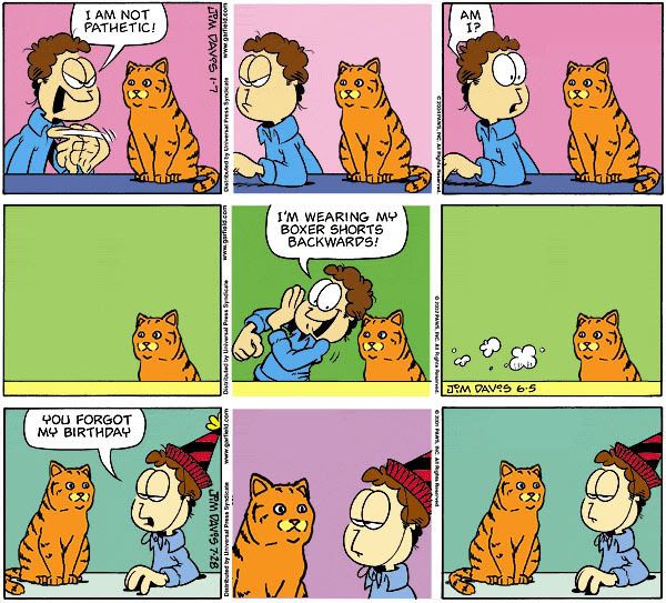 real_garfield.jpg