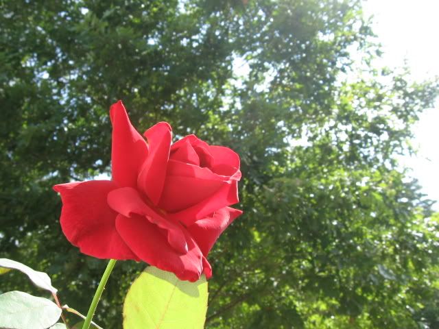 09-22-09062-1.jpg