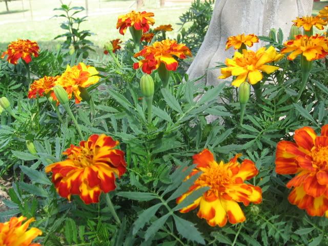 09-22-09063.jpg