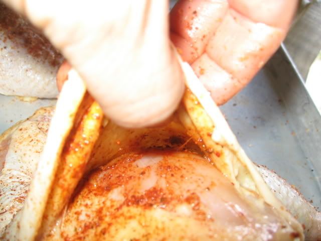 6-21-08024.jpg