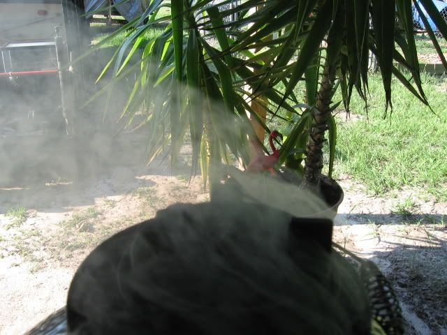 6-21-08029.jpg