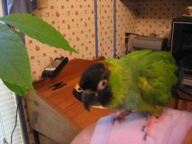 6-21-08040.jpg