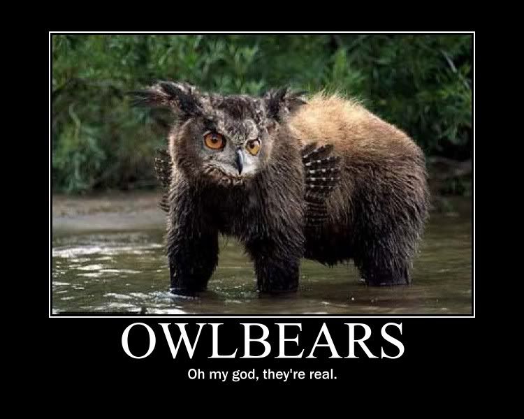 Real life owlbear motivational poster photo ...