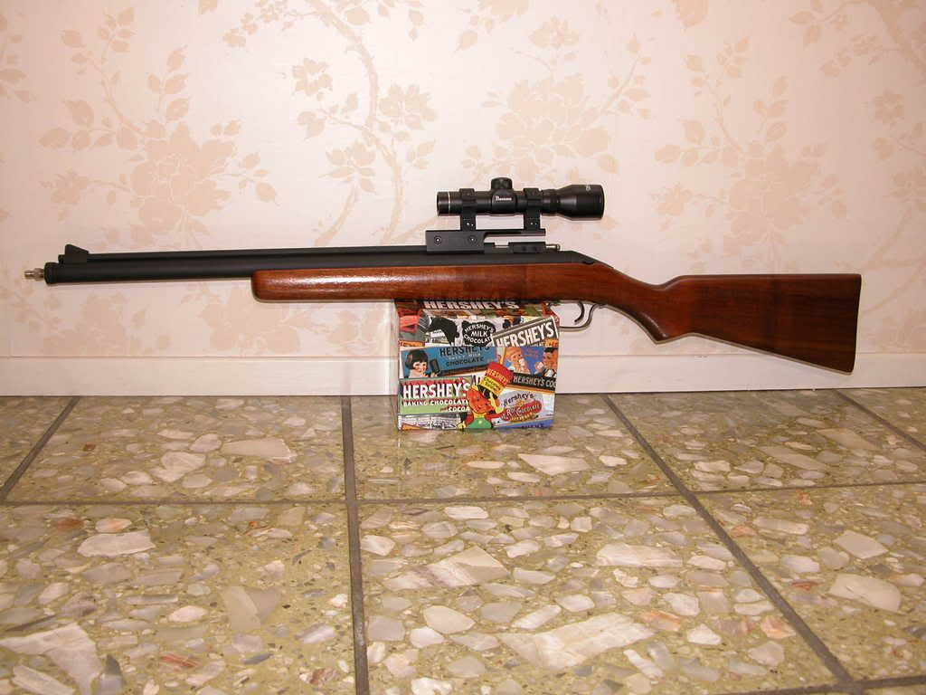 Airgun forum Scope mount for Sheridan Blue Streak