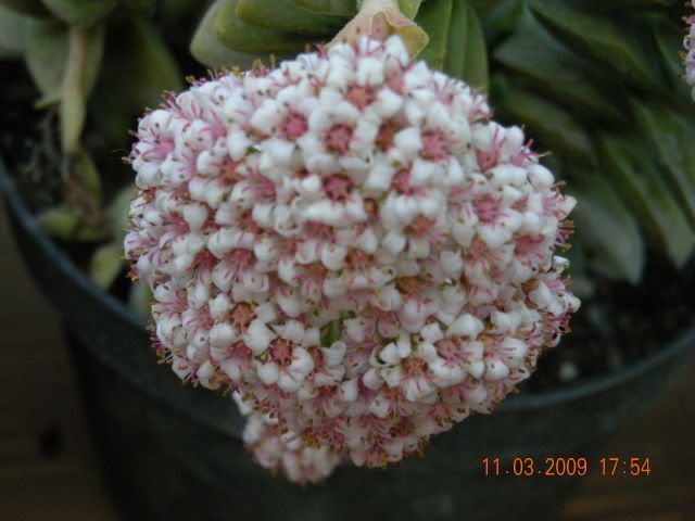 1f26ec72.jpg
