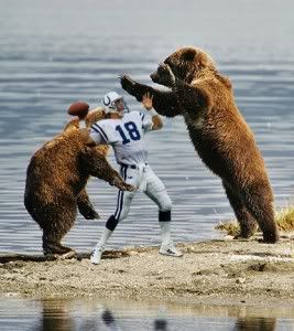 [Image: bears-attacking-peyton-manning-267x.jpg]