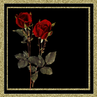 kckywmgc-1.gif picture by AmizadesdaNet