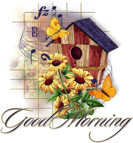 weekdays Pictures, Images and Photos