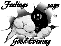 th_cat.gif