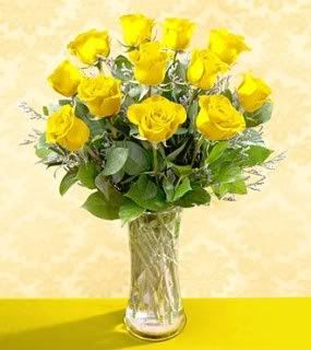yellow roses Pictures, Images and Photos